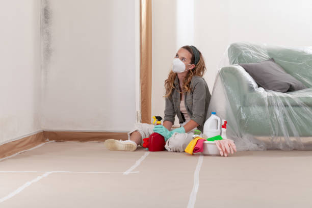 Reliable Commercial Mold Remediation contractor in York Springs, PA by WQB Mold Removal